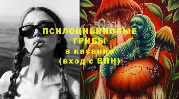 бошки Алексеевка